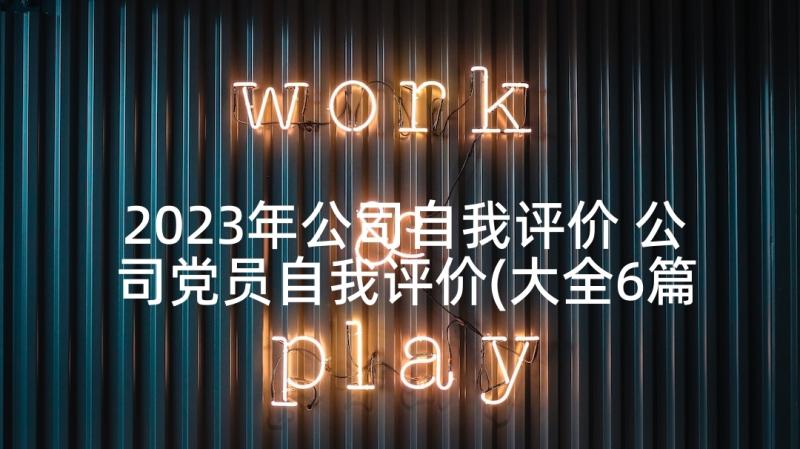 2023年公司自我评价 公司党员自我评价(大全6篇)