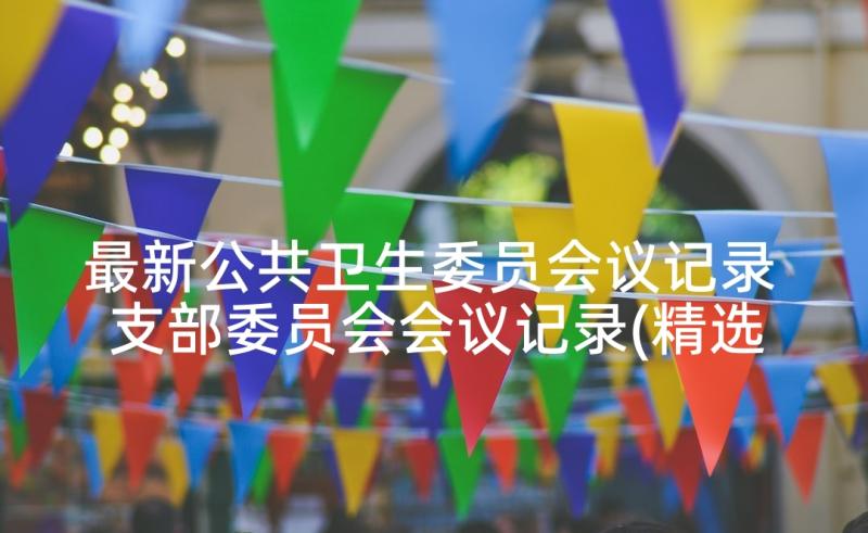 最新公共卫生委员会议记录 支部委员会会议记录(精选6篇)