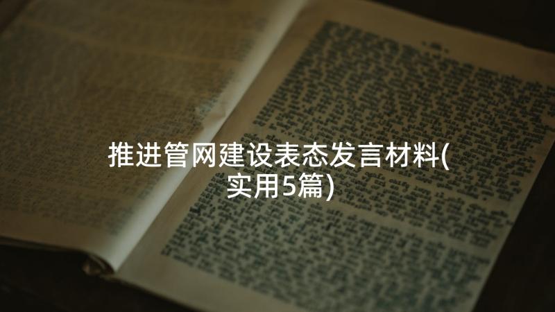 推进管网建设表态发言材料(实用5篇)