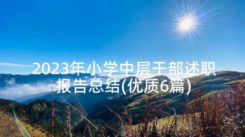 2023年小学中层干部述职报告总结(优质6篇)