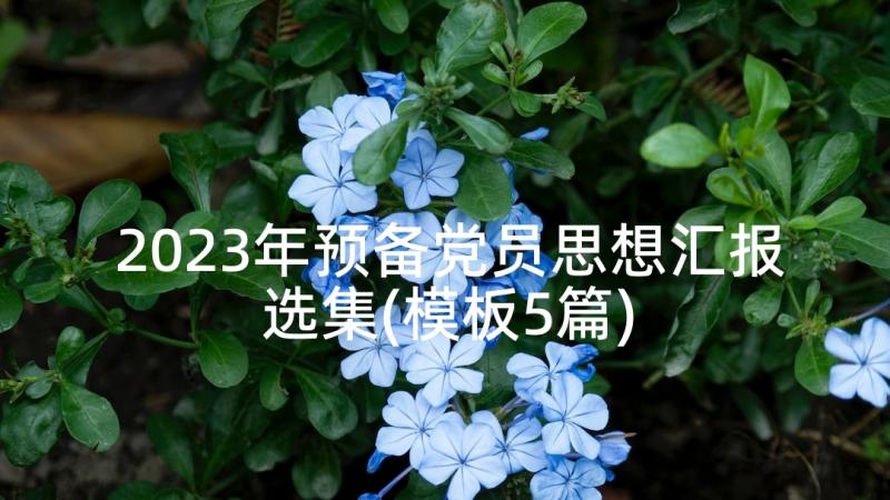 2023年预备党员思想汇报选集(模板5篇)