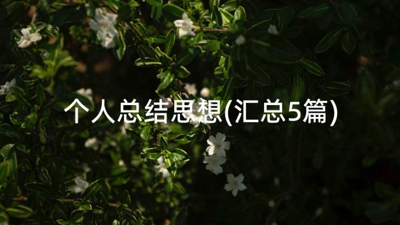 个人总结思想(汇总5篇)