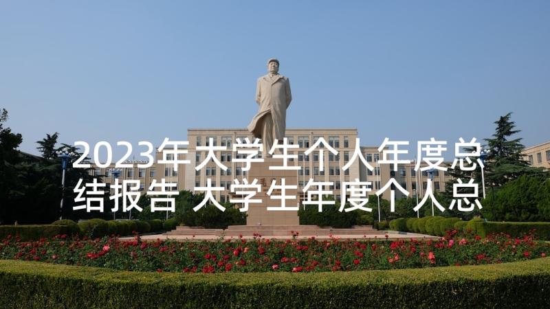 2023年大学生个人年度总结报告 大学生年度个人总结(通用6篇)