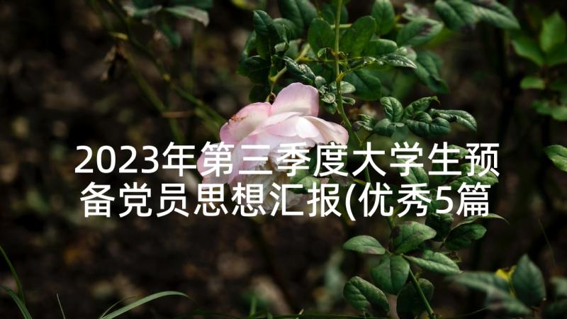 2023年第三季度大学生预备党员思想汇报(优秀5篇)