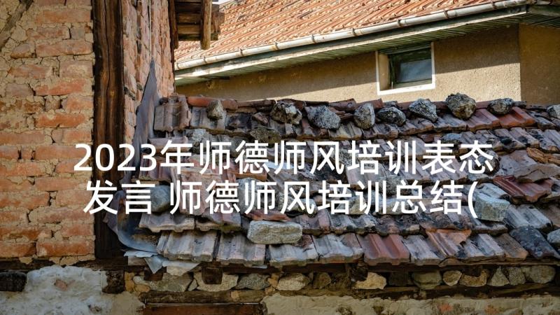 2023年师德师风培训表态发言 师德师风培训总结(通用8篇)