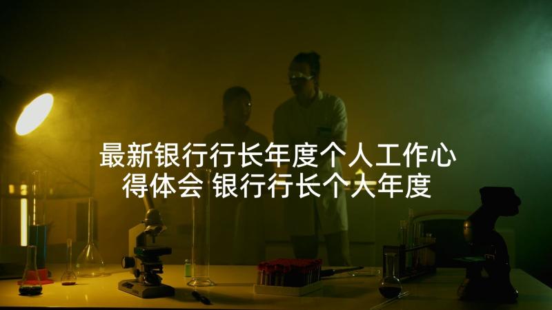 最新银行行长年度个人工作心得体会 银行行长个人年度工作总结(大全5篇)