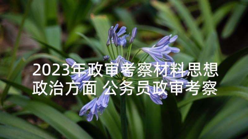 2023年政审考察材料思想政治方面 公务员政审考察报告(模板10篇)