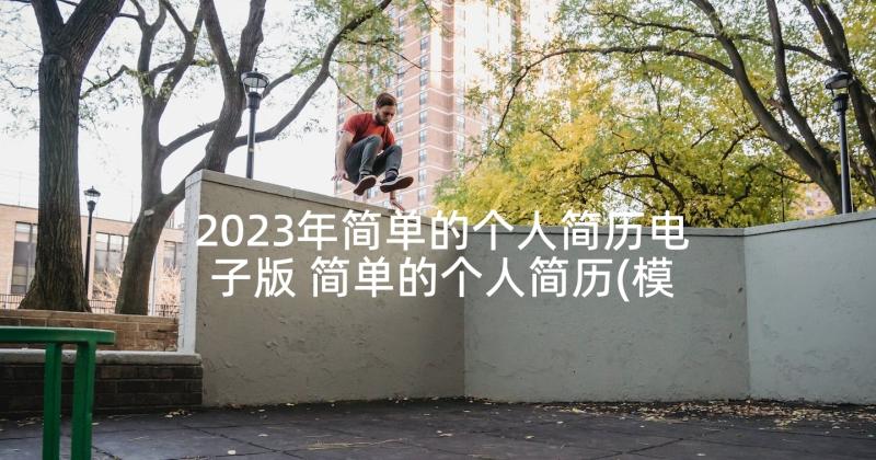 2023年简单的个人简历电子版 简单的个人简历(模板8篇)