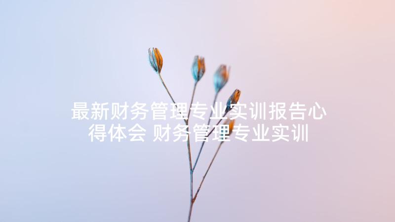 最新财务管理专业实训报告心得体会 财务管理专业实训心得体会(模板5篇)