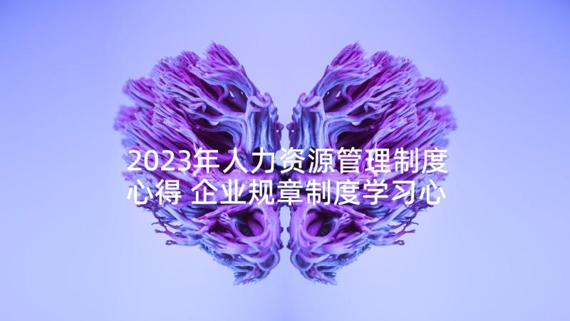 2023年人力资源管理制度心得 企业规章制度学习心得体会(优秀10篇)