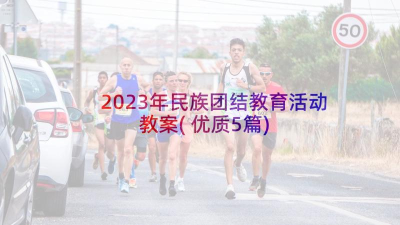 2023年民族团结教育活动教案(优质5篇)