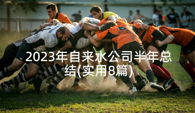 2023年自来水公司半年总结(实用8篇)