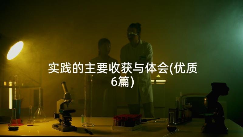 实践的主要收获与体会(优质6篇)