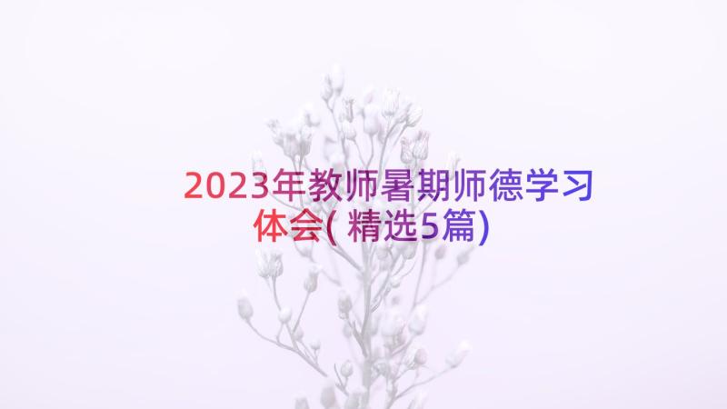 2023年教师暑期师德学习体会(精选5篇)