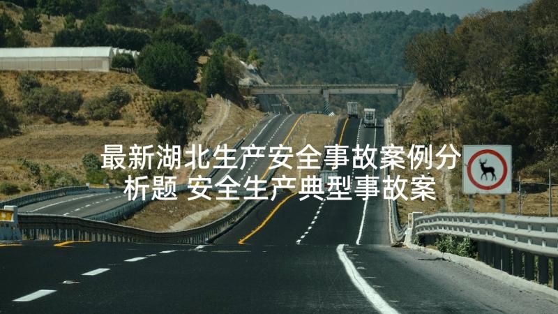 最新湖北生产安全事故案例分析题 安全生产典型事故案例分析报告(精选5篇)