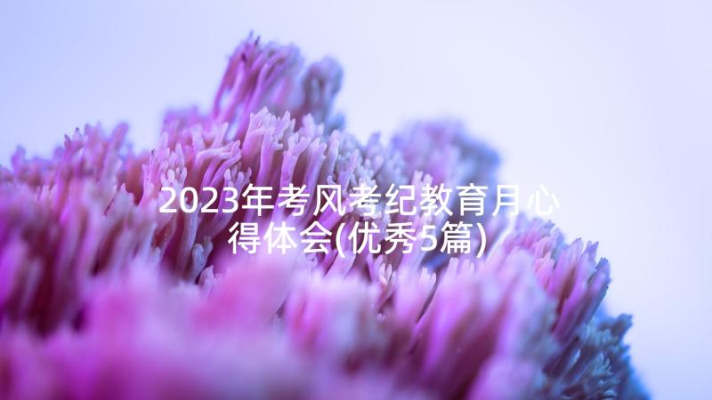 2023年考风考纪教育月心得体会(优秀5篇)