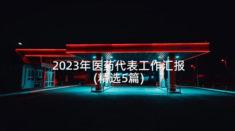 2023年医药代表工作汇报(精选5篇)