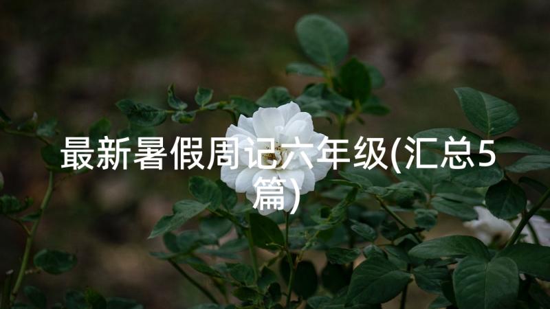 最新暑假周记六年级(汇总5篇)