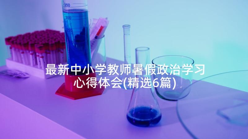 最新中小学教师暑假政治学习心得体会(精选6篇)