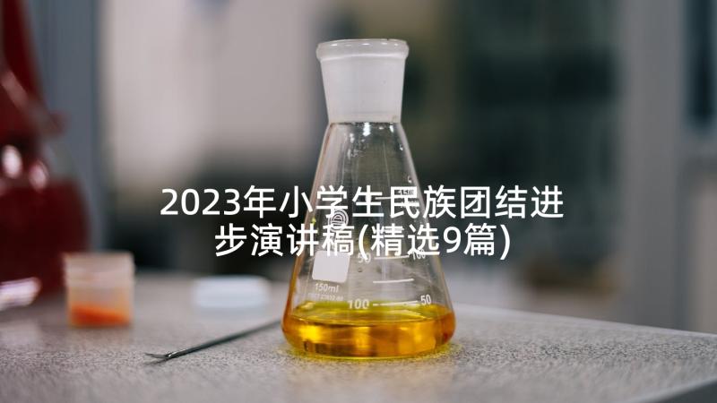 2023年小学生民族团结进步演讲稿(精选9篇)