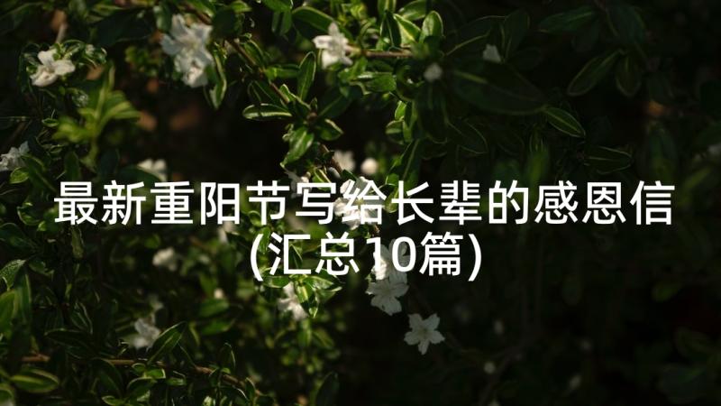 最新重阳节写给长辈的感恩信(汇总10篇)