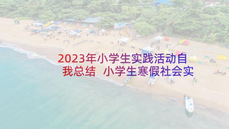 2023年小学生实践活动自我总结 小学生寒假社会实践总结(优质5篇)