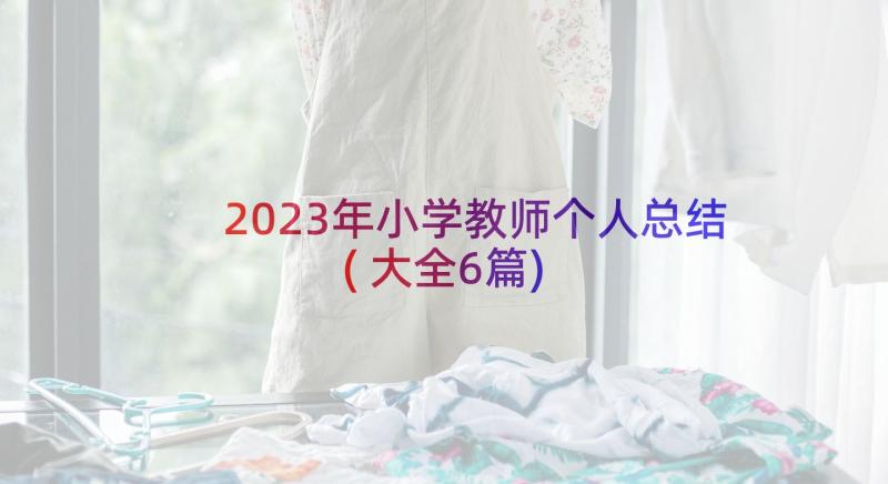 2023年小学教师个人总结(大全6篇)