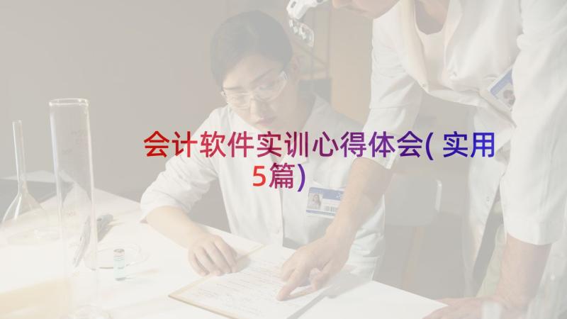 会计软件实训心得体会(实用5篇)