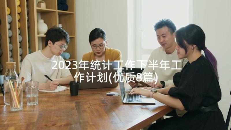 2023年统计工作下半年工作计划(优质8篇)