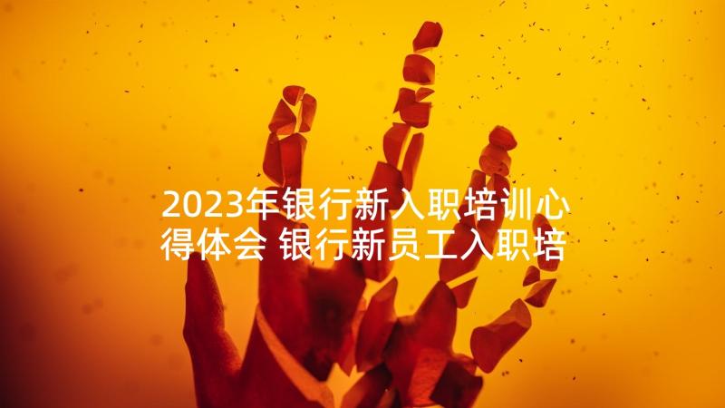 2023年银行新入职培训心得体会 银行新员工入职培训心得体会(优质9篇)