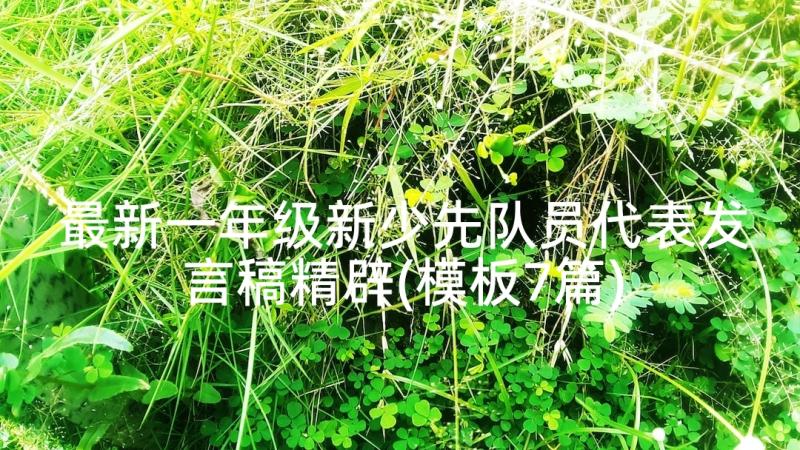 最新一年级新少先队员代表发言稿精辟(模板7篇)