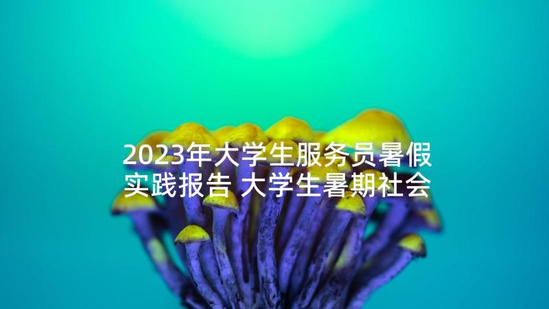 2023年大学生服务员暑假实践报告 大学生暑期社会实践心得体会(优秀10篇)