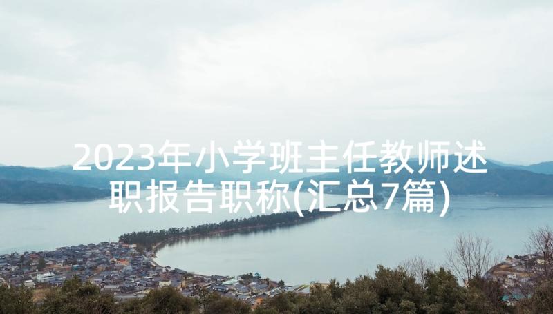 2023年小学班主任教师述职报告职称(汇总7篇)