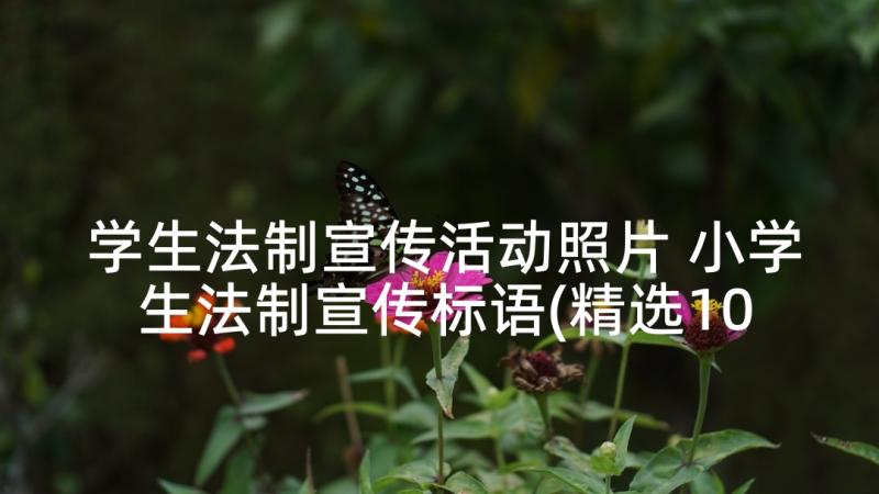 学生法制宣传活动照片 小学生法制宣传标语(精选10篇)