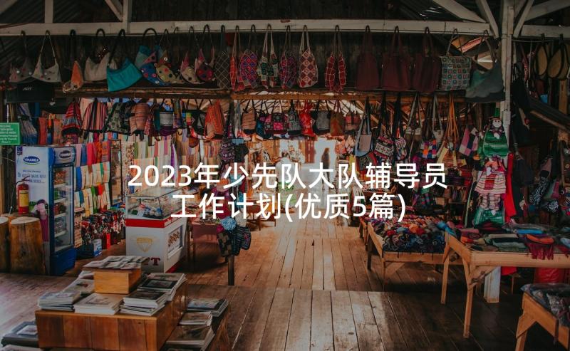 2023年少先队大队辅导员工作计划(优质5篇)