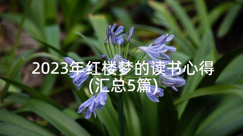 2023年红楼梦的读书心得(汇总5篇)