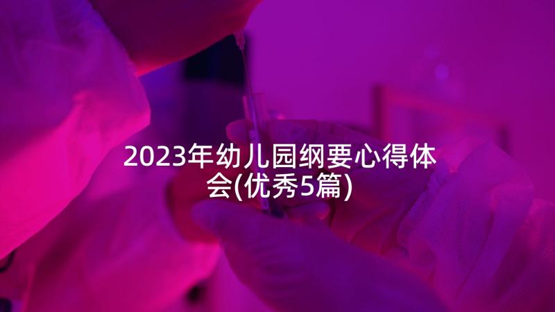 2023年幼儿园纲要心得体会(优秀5篇)