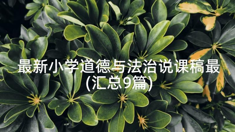 最新小学道德与法治说课稿最(汇总9篇)