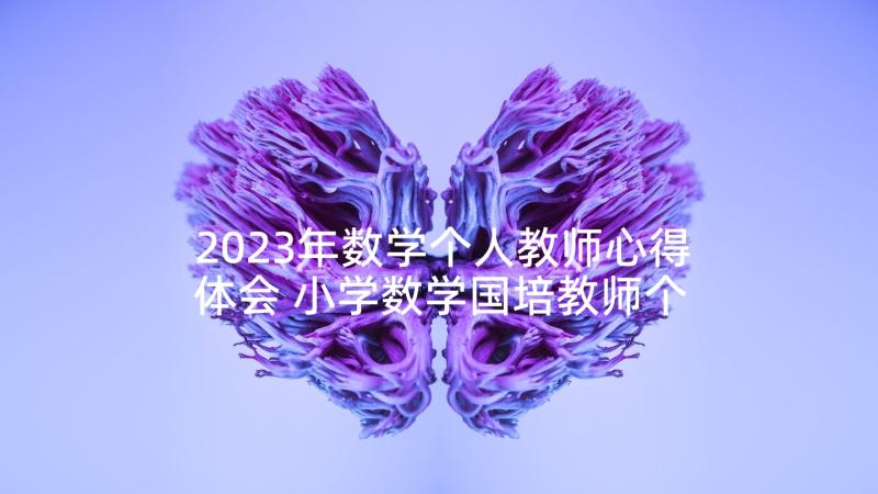 2023年数学个人教师心得体会 小学数学国培教师个人心得体会(实用5篇)