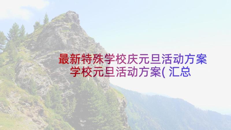 最新特殊学校庆元旦活动方案 学校元旦活动方案(汇总9篇)