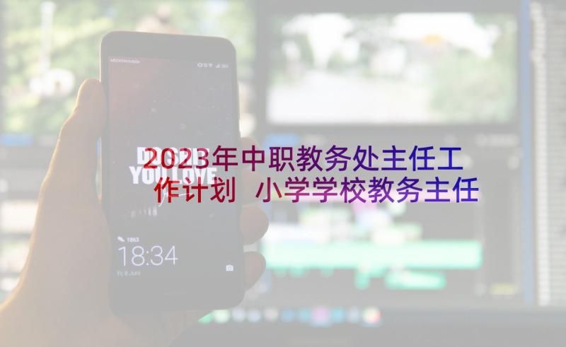 2023年中职教务处主任工作计划 小学学校教务主任述职报告(模板9篇)