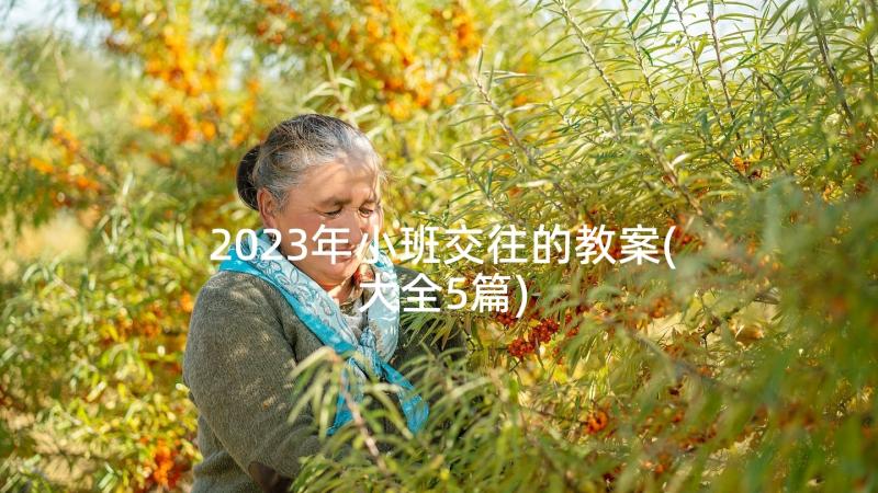 2023年小班交往的教案(大全5篇)