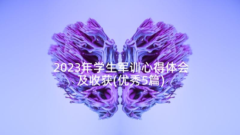 2023年学生军训心得体会及收获(优秀5篇)