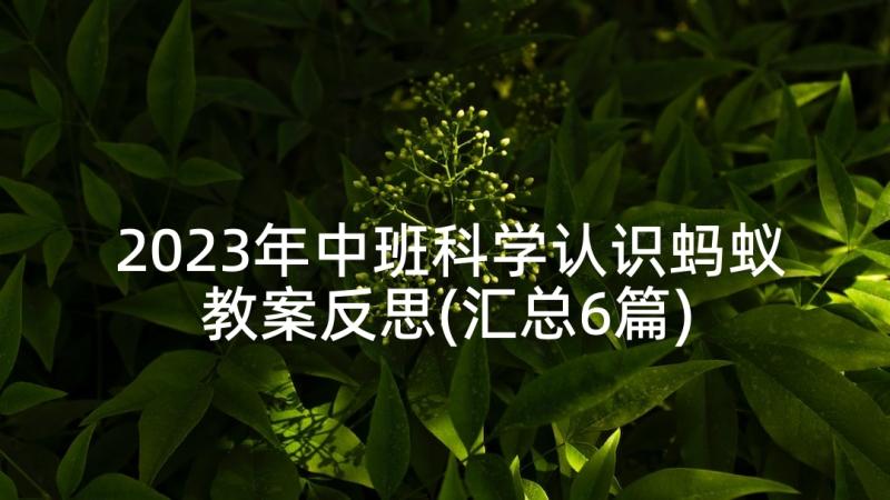 2023年中班科学认识蚂蚁教案反思(汇总6篇)