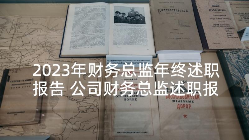 2023年财务总监年终述职报告 公司财务总监述职报告(精选9篇)