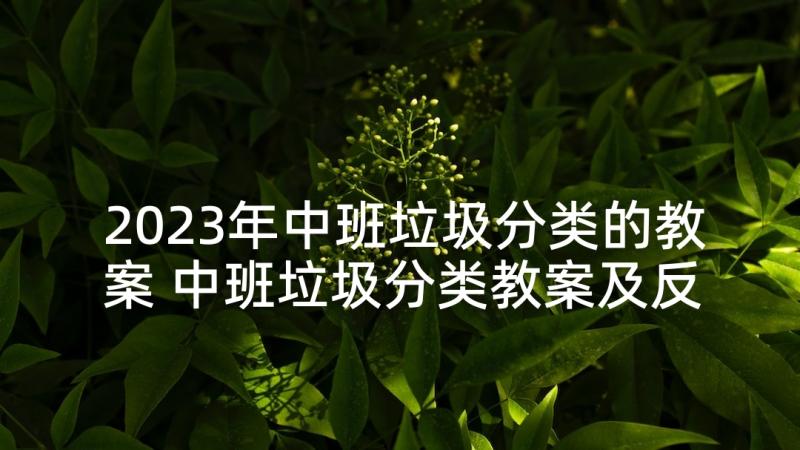 2023年中班垃圾分类的教案 中班垃圾分类教案及反思(汇总7篇)