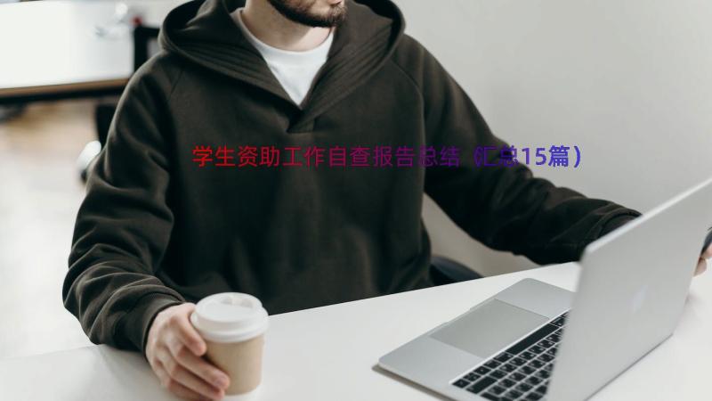 学生资助工作自查报告总结（汇总15篇）