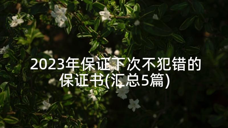 2023年保证下次不犯错的保证书(汇总5篇)