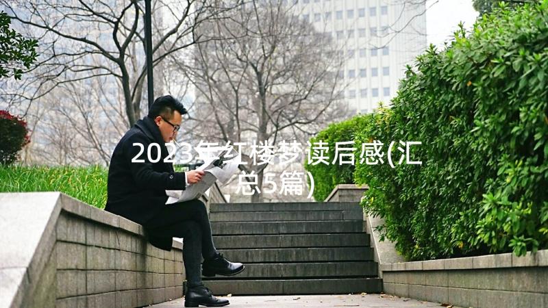 2023年红楼梦读后感(汇总5篇)