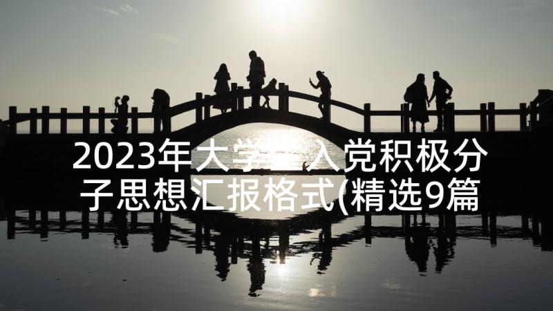 2023年大学生入党积极分子思想汇报格式(精选9篇)